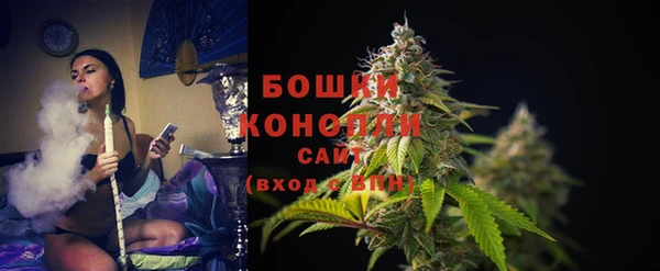 гидра Яблоновский