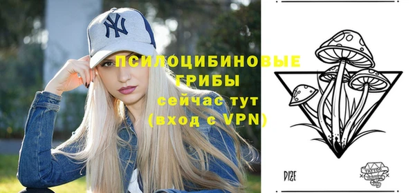 jwh Бородино